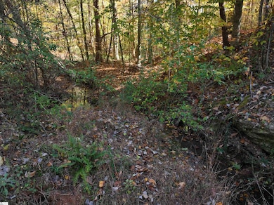 02 Patterson Dr, Laurens, SC 29360 - photo 2