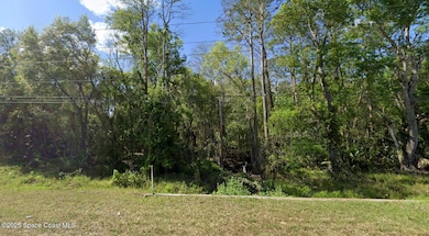 0 Quail Ranch Rd unit 1045380, New Smyrna Beach, FL 32168 - photo 3