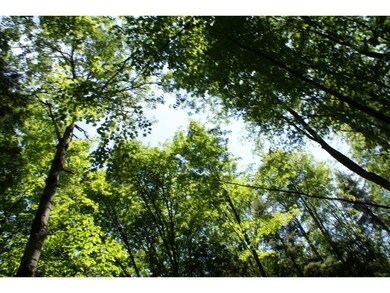 930 Turkey Hill Rd unit Lot 1, Northfield, VT 05663 - photo 6