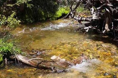 TBD Northfork, Big Sky, MT 59716 - photo 4