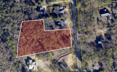 0 Harmon St unit 622254, Lexington, SC 29072 - photo 4