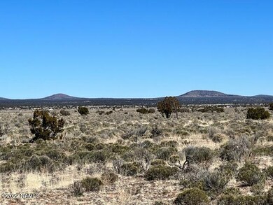 IMG_2226