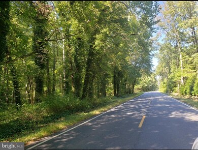 0 Woodstown Rd unit NJSA2001428, Pilesgrove, NJ 08098 - photo 3