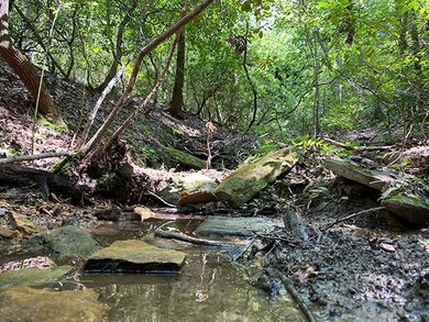 View of the creek at the rear property line of the lot