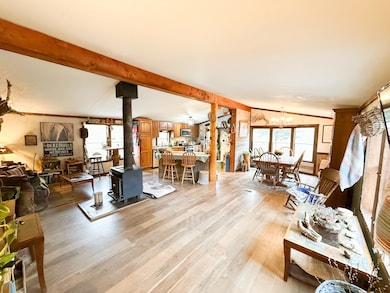 846 Boxer Ranch Rd, Livermore, CO 80536 - photo 6