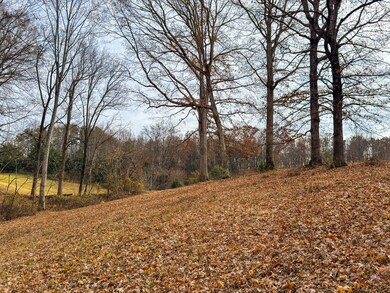 0 Sugar Hollow Rd unit Lot 1, Lafollette, TN 37766 - photo 4