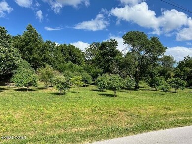 1615 W Budlong St, Carthage, MO 64836 - photo 5