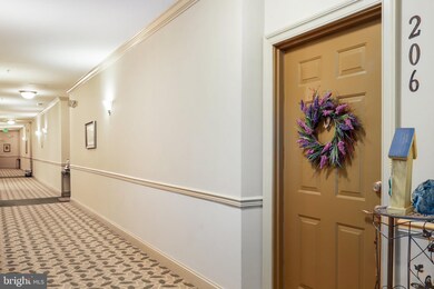 8616 Wintergreen Ct unit 206, Odenton, MD 21113 - photo 4