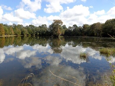 304 Waterside Dr, Quitman, GA 31643 - photo 4