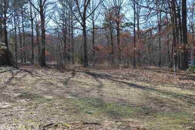 00 Clubhouse Cir, Heber Springs, AR 72543 - photo 2