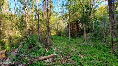 20220401_085659 (1)