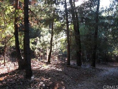 Forested and some road