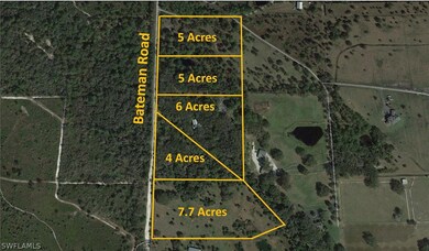 3101 Bateman Rd, Alva, FL 33920 - photo 4