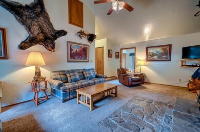 143 Cr 1120, Greer, AZ 85927 - photo 5