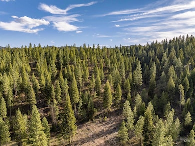 Lot 17 Trail Creek Ct, Placerville, ID 83666 - photo 2