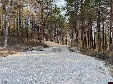 004-00632-000 Hwy 345, Cotter, AR 72626 - photo 4