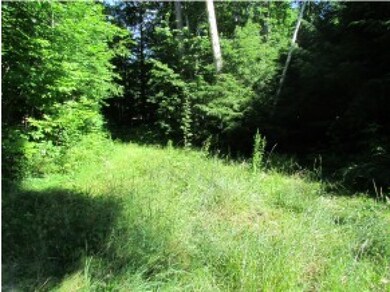 36 Pollard Rd, Lincoln, NH 03251 - photo 6