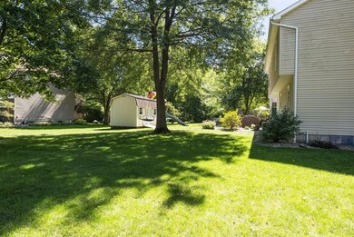 Side & Back Yard