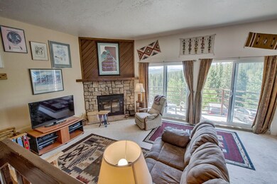 Carpeted living room featuring a fireplace and fin
