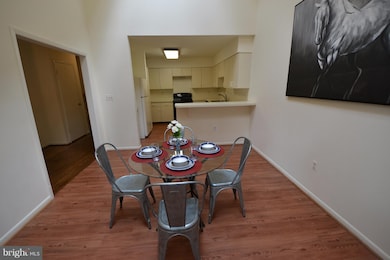 2328 Bright Leaf Way, Baltimore, MD 21209 - photo 7