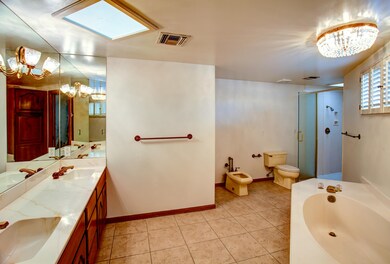 Master bath with bidet