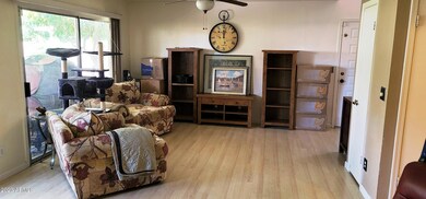 20230624_120338_resized