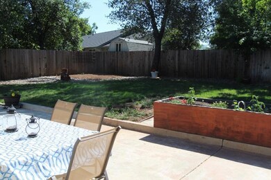 back yard other side (800x533)