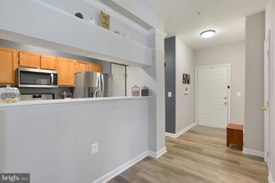 46588 Drysdale Terrace unit 103, Sterling, VA 20165 - photo 3