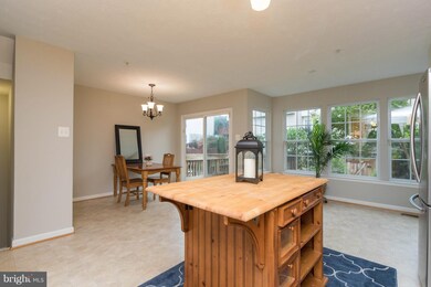 128 Arbor Vista Ln, Owings Mills, MD 21117 - photo 6