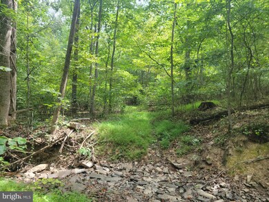 Lot 8 Jermikey Ct, Hedgesville, WV 25427 - photo 6