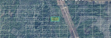 0 Dill Rd unit MFRO6234564, Orlando, FL 32820 - photo 2