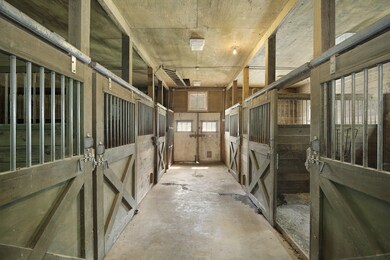 6 Horse Stable Paddock