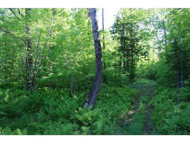 Land/Lot.