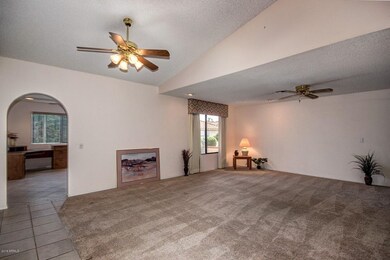 Entertainment Sized Living Room
