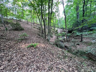 000 Hawks Terrace, Lake Lure, NC 28746 - photo 4