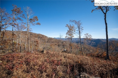 S-124 Silver Eagle Trail, Banner Elk, NC 28604 - photo 5