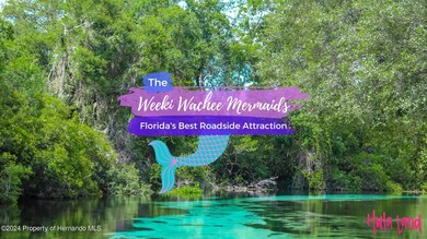 SH Weeki Wachee Sign