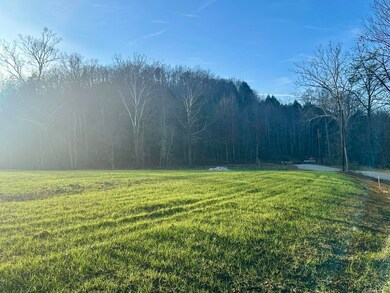 Lot 8 Hensley Rd, East Bernstadt, KY 40729 - photo 7