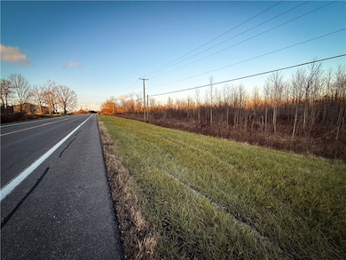 8188 New York 104a, Wolcott, NY 14590 - photo 3