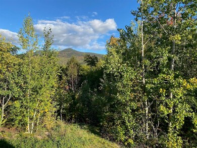 18 Highwoods Dr unit 18, Bartlett, NH 03845 - photo 4