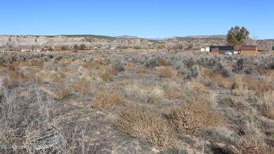 IMG_3578