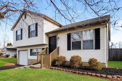 019-photo-front-view-13477345
