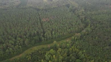 0 Maben-Bell Schoolhouse Rd, Maben, MS 39759 - photo 2