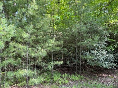 99999 Small Creek Rd unit 4, Brevard, NC 28712 - photo 6