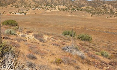 IMG_1186