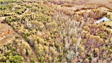 0 Jones Dr unit RTC2980310, Tellico Plains, TN 37385 - photo 4