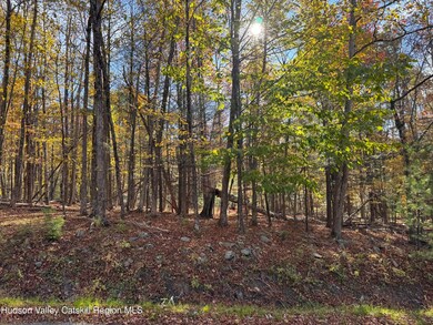 TBD Cross Patch Rd, Willow, NY 12495 - photo 7