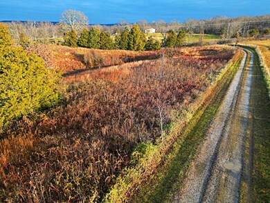 DJI_0392_e