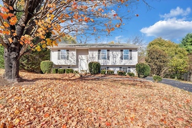 Gorgeous Home!