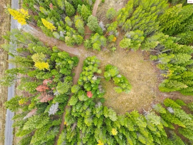 Driveway and circular drive to the home pad